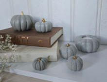 Load image into Gallery viewer, Pumpkin Decor- Blue