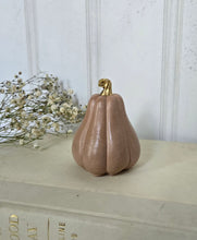 Load image into Gallery viewer, Gourds Decor- Peach