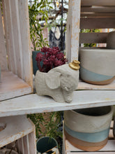 Load image into Gallery viewer, Edward The Elephant