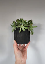 Load image into Gallery viewer, 4" Ridged Planter