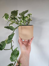 Load image into Gallery viewer, 4" Ridged Planter