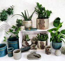 Load image into Gallery viewer, The Rockies Collection