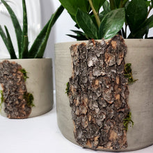 Load image into Gallery viewer, The Rockies Collection