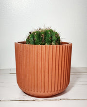 Load image into Gallery viewer, 4" Ridged Planter