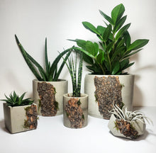 Load image into Gallery viewer, The Rockies Collection