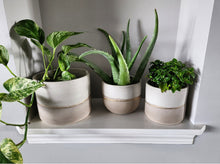 Load image into Gallery viewer, White & Taupe Collection