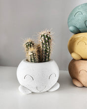 Load image into Gallery viewer, Walter Smiles