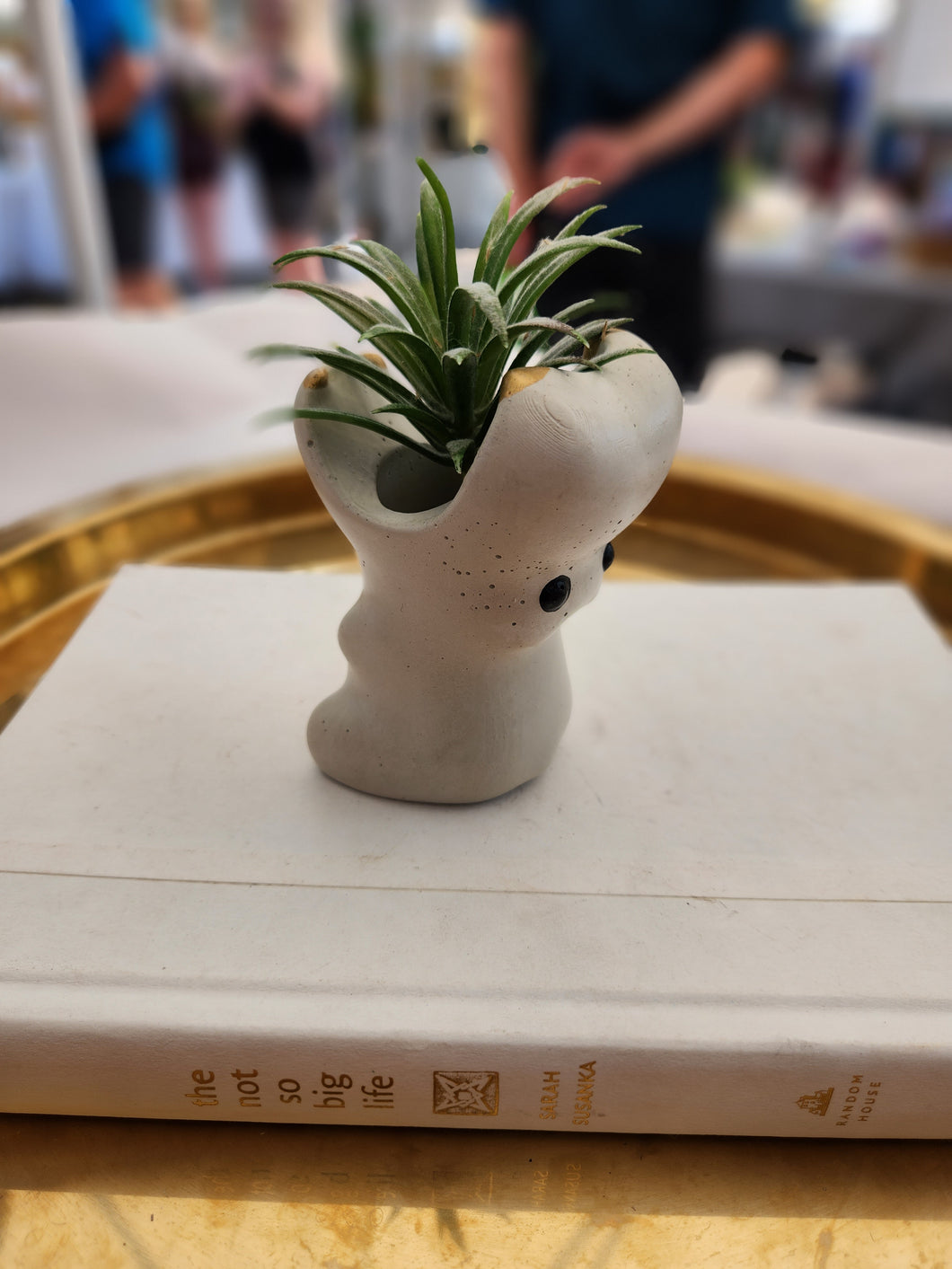 Hippo Airplant Holder