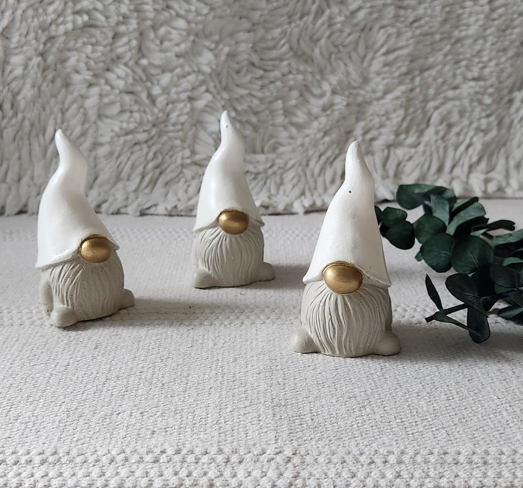 Gnomies