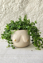Load image into Gallery viewer, Golden Boob Pot
