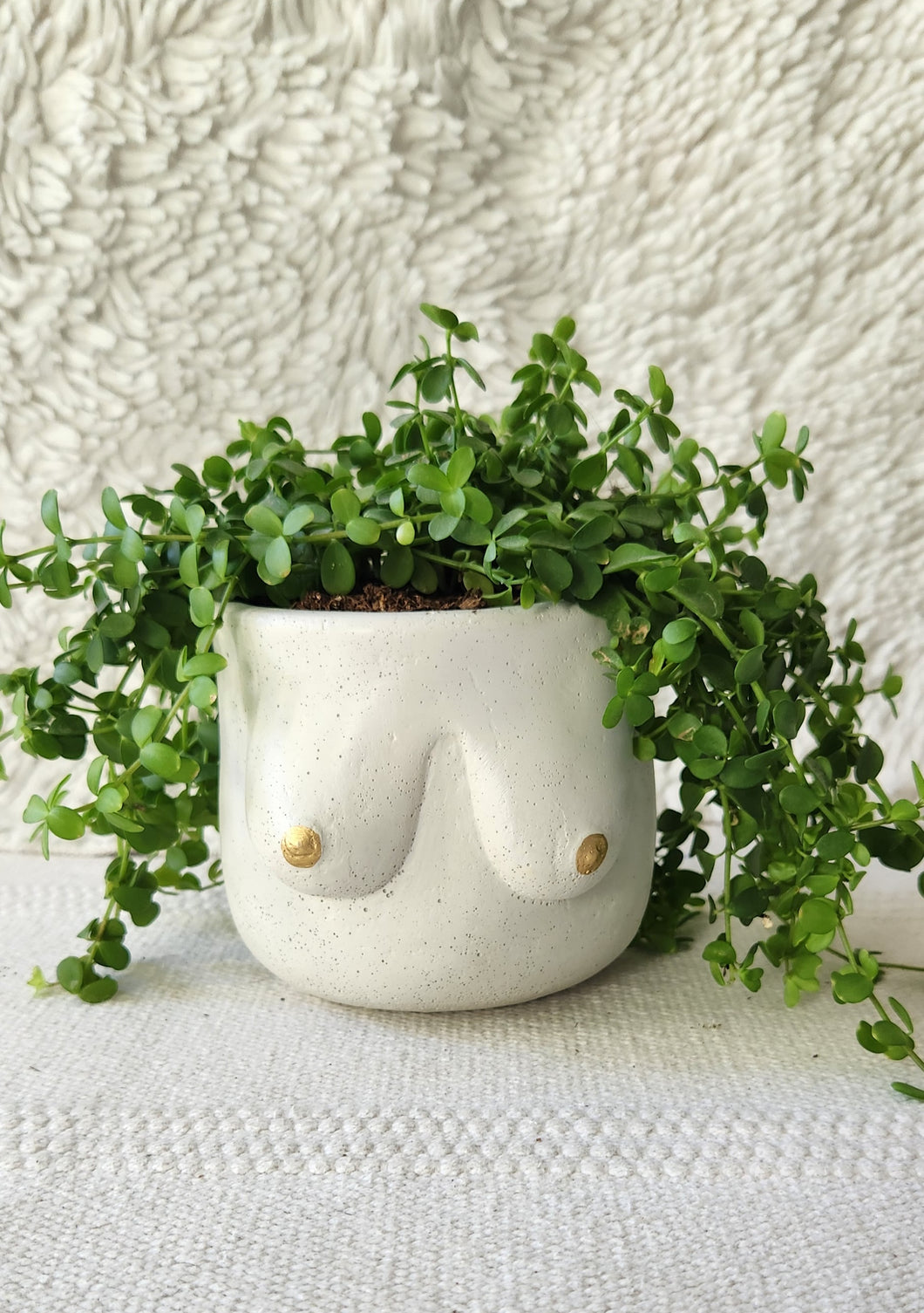 Golden Boob Pot