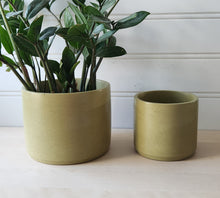 Load image into Gallery viewer, Cylinder Planter- 5&quot; and 7&quot; Chartreuse
