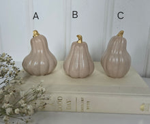 Load image into Gallery viewer, Gourds Decor- Beige
