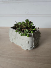 Load image into Gallery viewer, The Tree Farm
