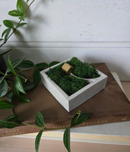 Load image into Gallery viewer, Cabin in The Woods
