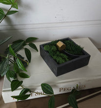 Load image into Gallery viewer, Cabin in The Woods
