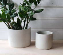 Load image into Gallery viewer, Cylinder Planter- 5&quot; and 7&quot; White
