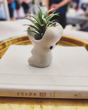 Load image into Gallery viewer, Hippo Airplant Holder
