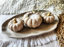 Load image into Gallery viewer, Pumpkin Decor

