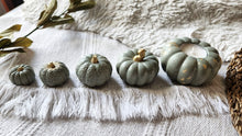 Load image into Gallery viewer, Pumpkin Decor
