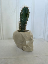 Load image into Gallery viewer, Geometric Skulls
