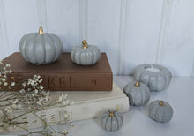 Load image into Gallery viewer, Pumpkin Decor- Blue
