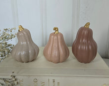 Load image into Gallery viewer, Gourds Decor- Mauve
