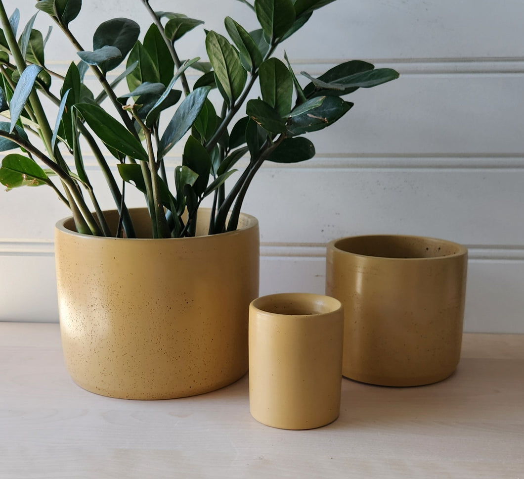 Cylinder Planter- 3
