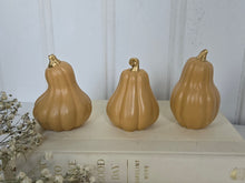 Load image into Gallery viewer, Gourds Decor- Butternut
