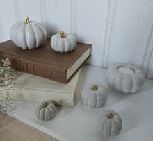 Load image into Gallery viewer, Pumpkin Decor- White
