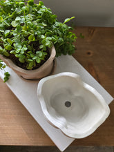 Load image into Gallery viewer, The Boyfriend Planter
