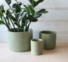 Load image into Gallery viewer, Cylinder Planter- 3" 5" 7" Blush &amp; Olive
