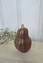 Load image into Gallery viewer, Gourds Decor- Mauve
