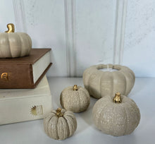 Load image into Gallery viewer, Pumpkin Decor- Cream

