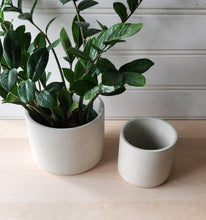 Load image into Gallery viewer, Cylinder Planter- 5&quot; and 7&quot; White
