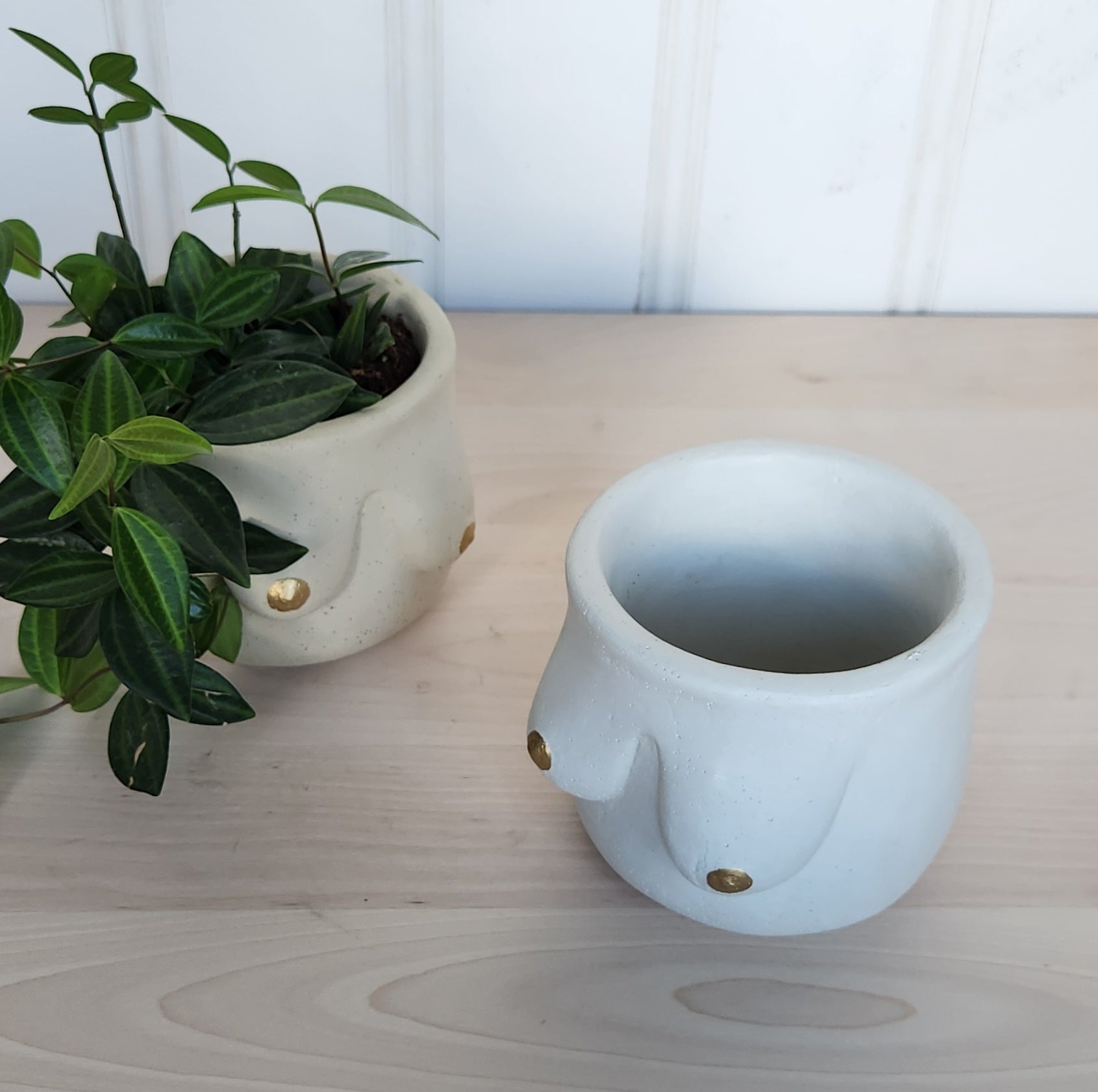 boob pot plant Golden Boob Pot – Plant 'er Here
