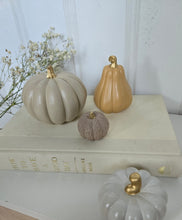 Load image into Gallery viewer, Gourds Decor- Butternut
