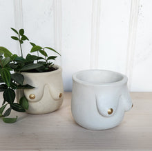 Load image into Gallery viewer, Golden Boob Pot
