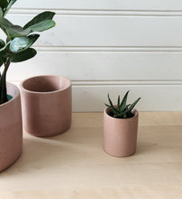 Load image into Gallery viewer, Cylinder Planter- 3" 5" 7" Blush &amp; Olive

