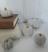 Load image into Gallery viewer, Pumpkin Decor- White
