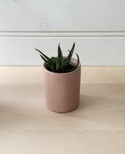 Load image into Gallery viewer, Cylinder Planter- 3" 5" 7" Blush &amp; Olive
