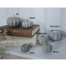 Load image into Gallery viewer, Pumpkin Decor- Blue
