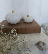 Load image into Gallery viewer, Pumpkin Decor- White
