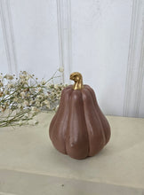 Load image into Gallery viewer, Gourds Decor- Mauve
