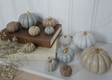 Load image into Gallery viewer, Pumpkin Decor- Blue
