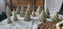 Load image into Gallery viewer, The 12 Trees of Christmas
