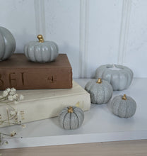 Load image into Gallery viewer, Pumpkin Decor- Blue
