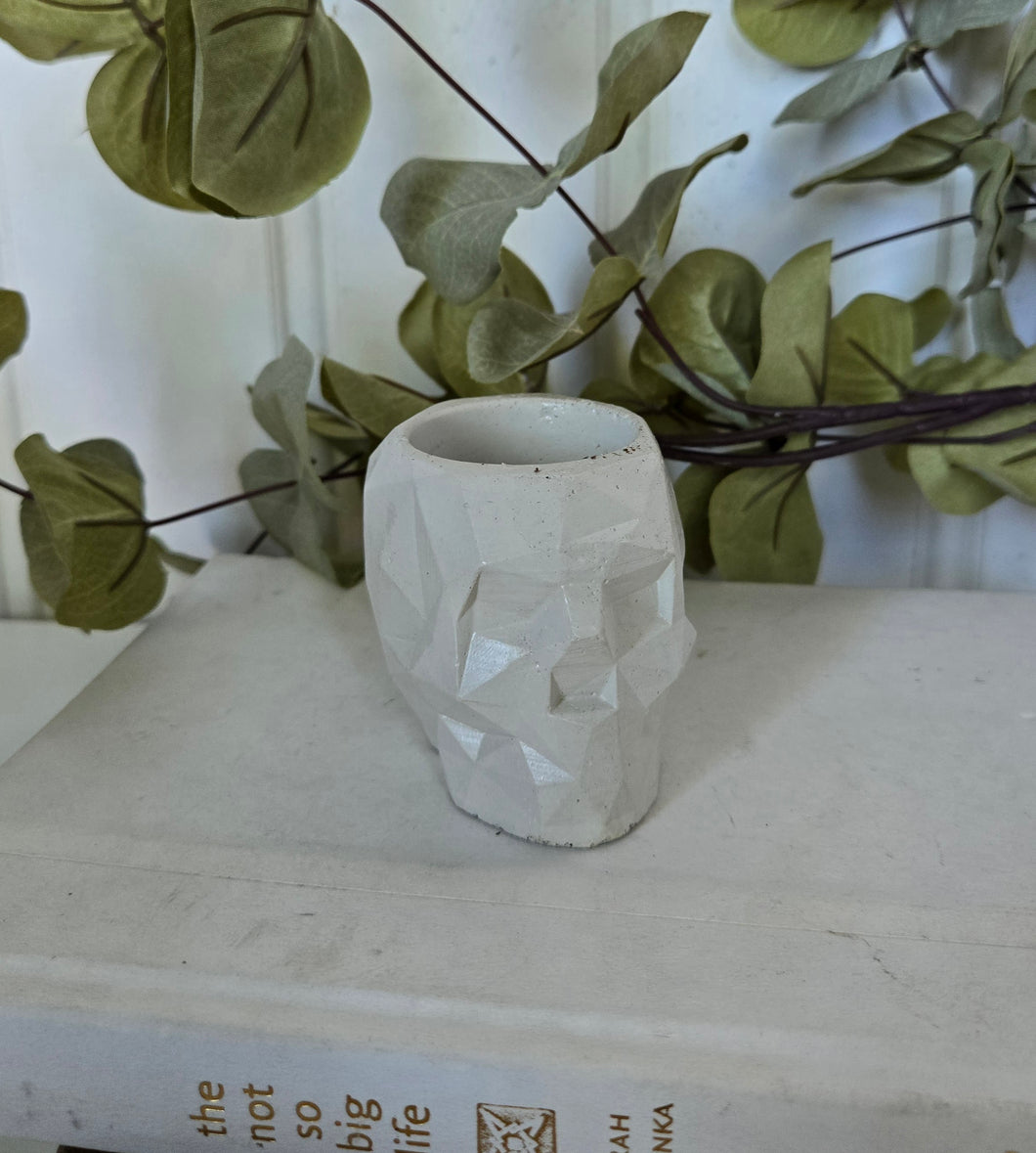 Geometric Skulls
