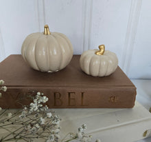 Load image into Gallery viewer, Pumpkin Decor- Cream
