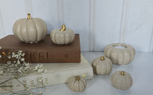 Load image into Gallery viewer, Pumpkin Decor- Cream
